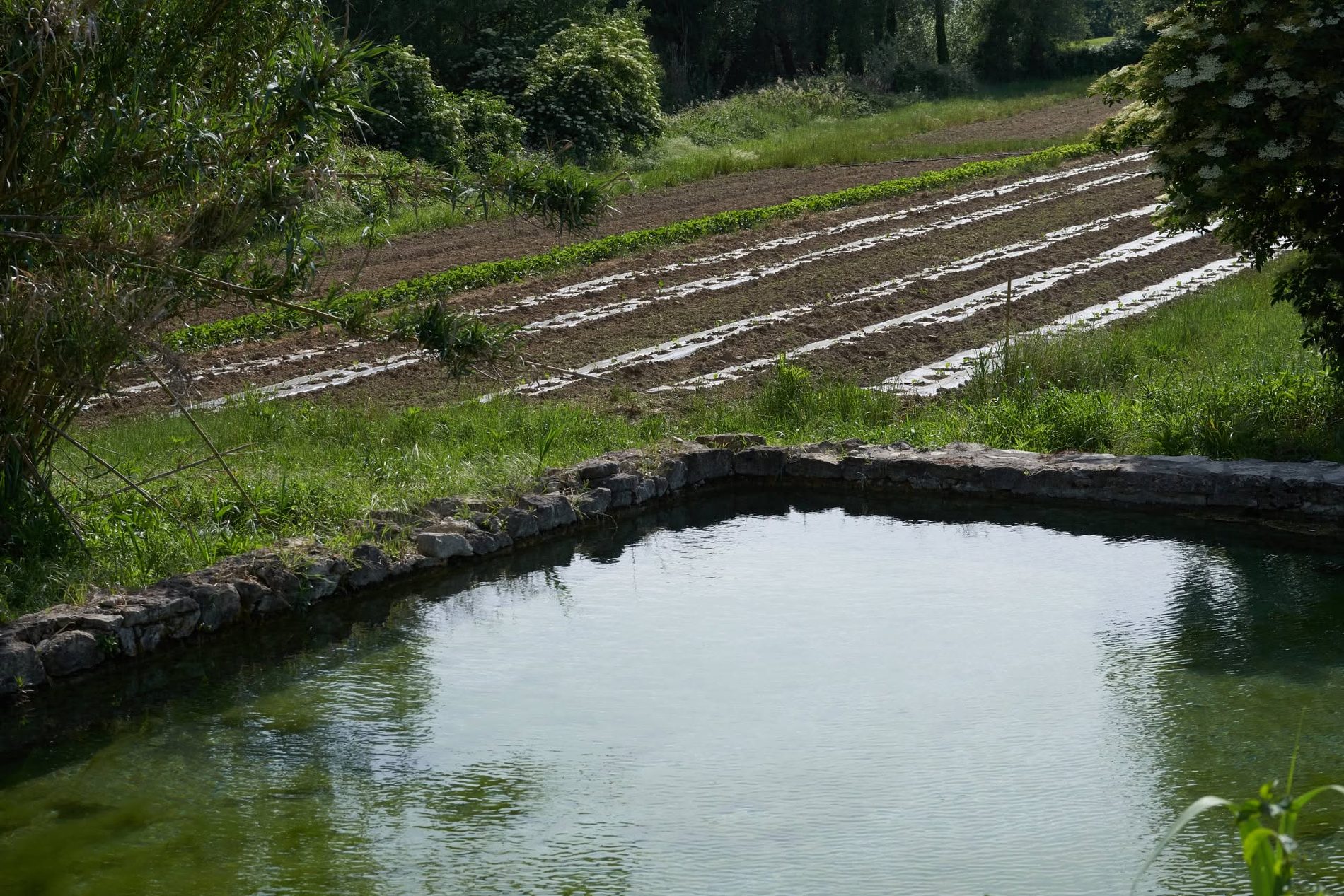 Le bassin nourricier