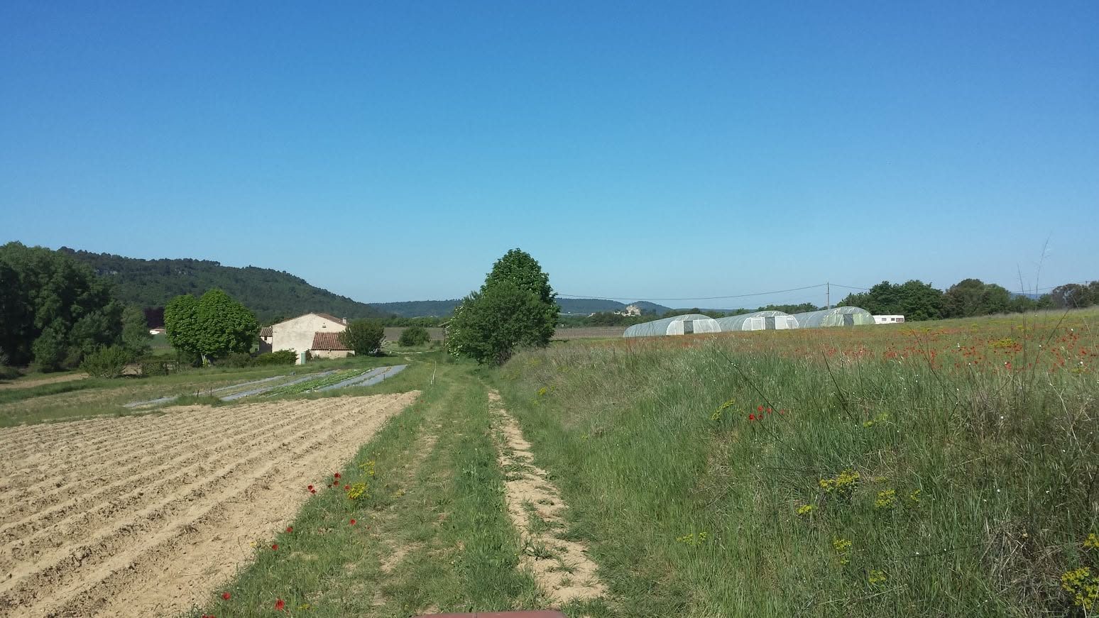 La Ferme Le Bastidon au printemps : champs, serres et collines du Luberon sous un ciel bleu.