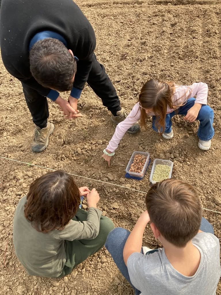 Atelier au potager
